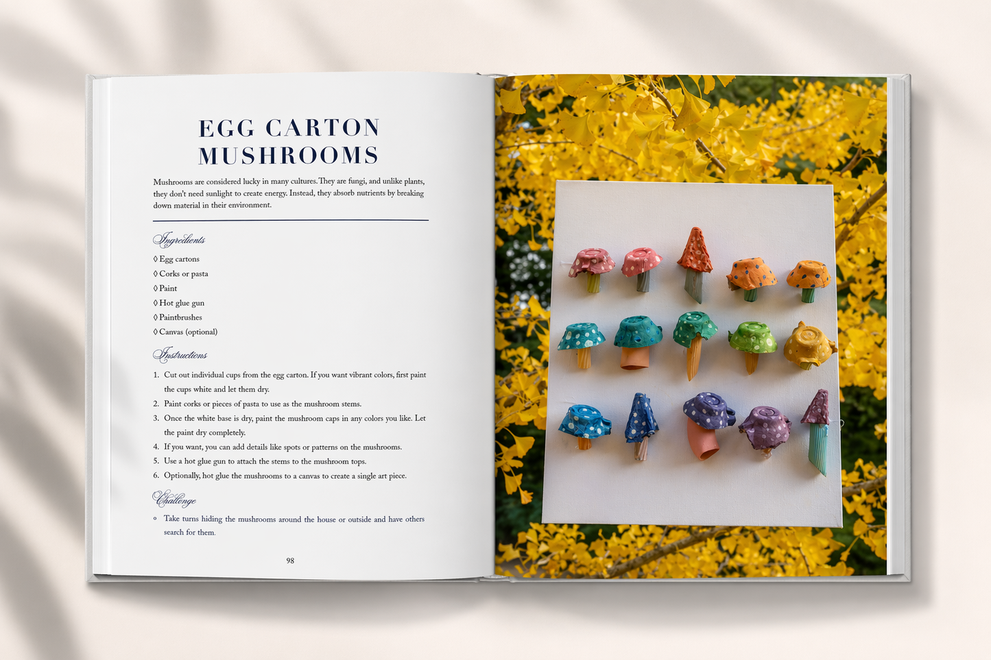 Recipes For Fun – 1st Edition